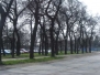 Zelenilo Sombor